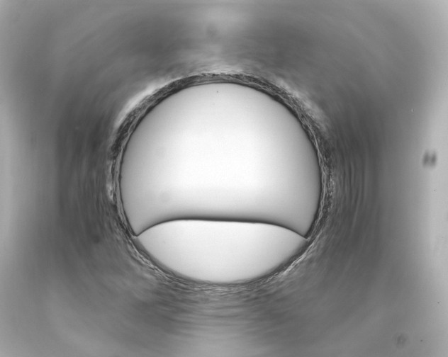 X0000094361262200711021328