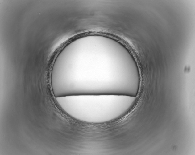 X0000094361263200711021328