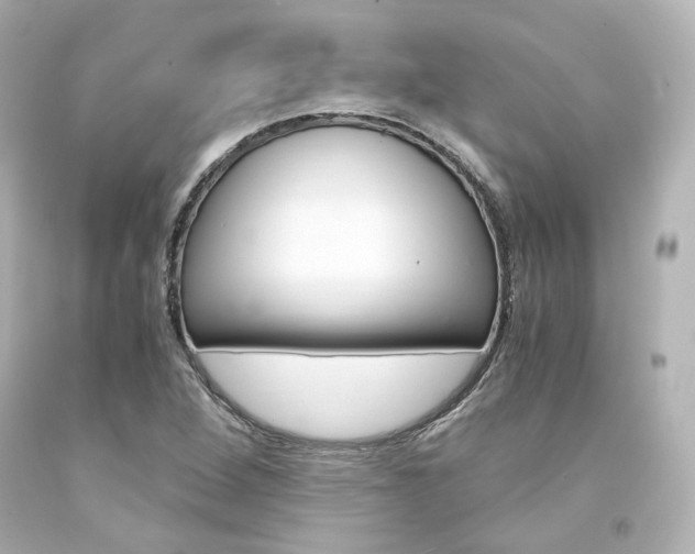 X0000094361264200711021327