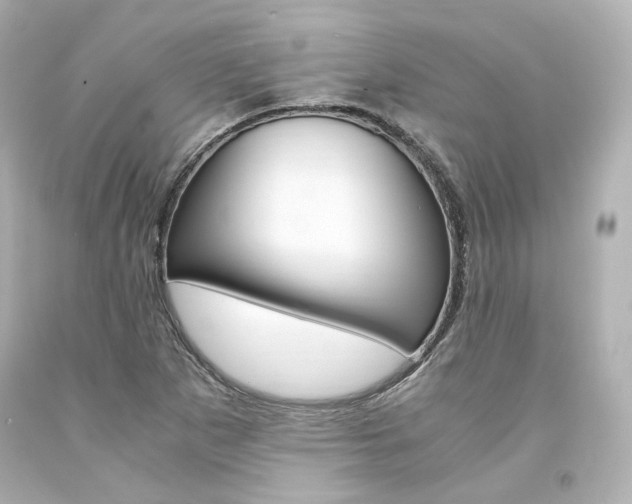 X0000094361265200711021327