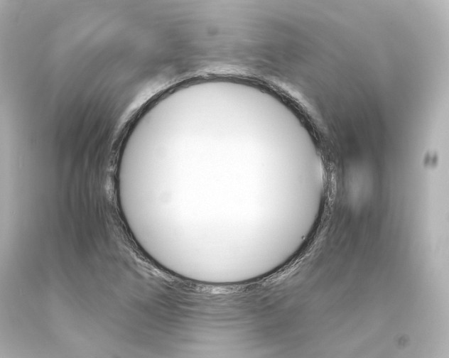 X0000094361266200711021327