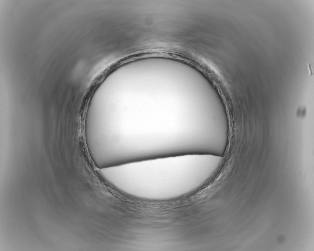 X0000094361267200711021327