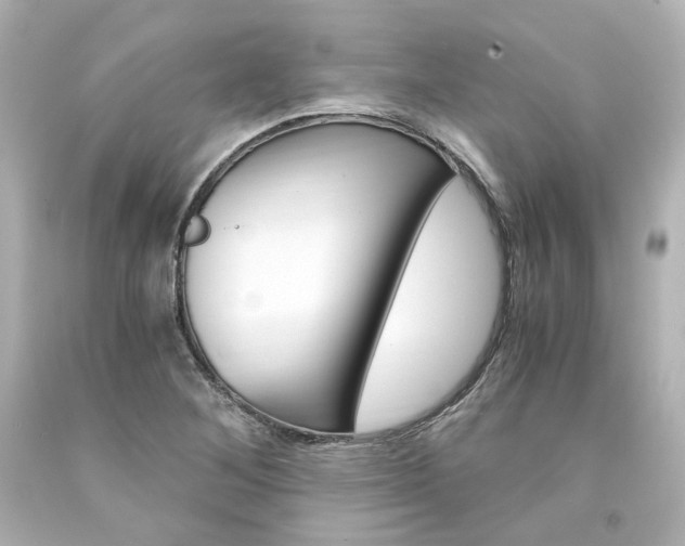 X0000094361268200711021327