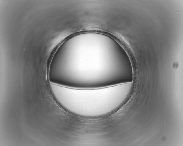 X0000094361269200711021327
