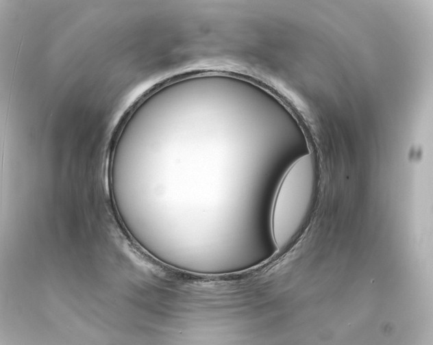 X0000094361272200711021327