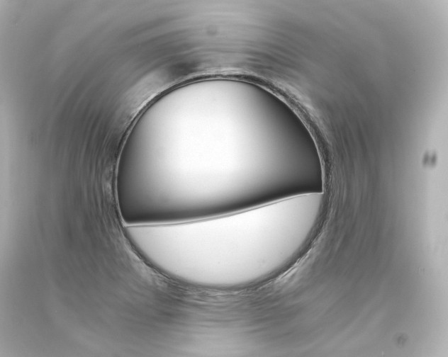 X0000094361273200711021327