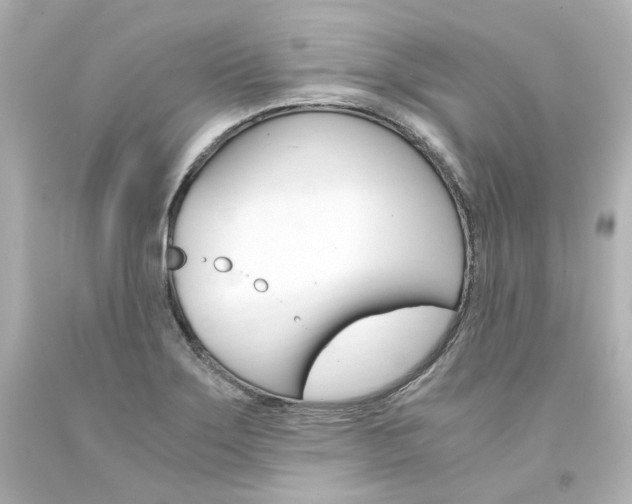 X0000094361275200711021327