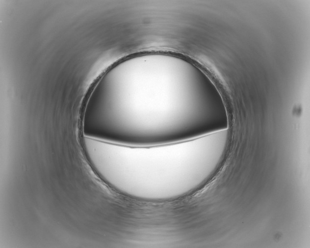 X0000094361277200711021327