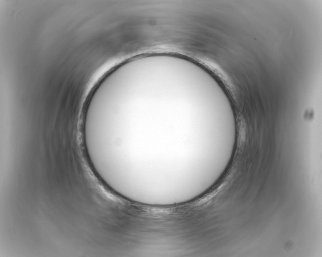 X0000094361278200711021327