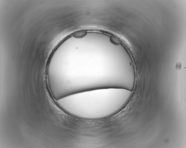 X0000094361279200711021327