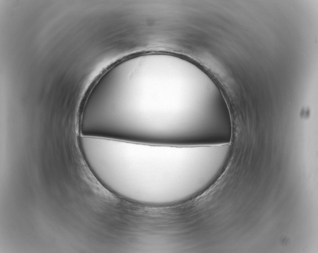 X0000094361280200711021327