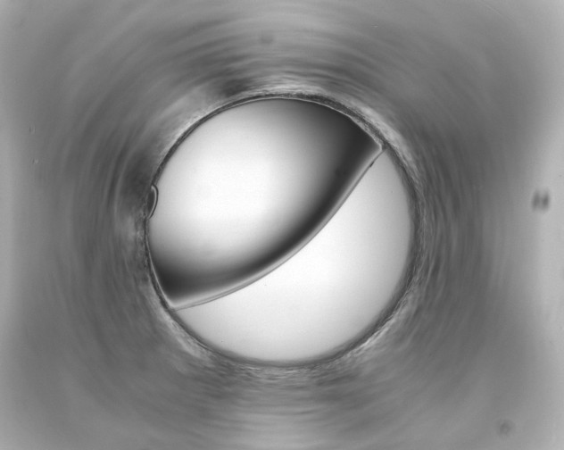 X0000094361281200711021327