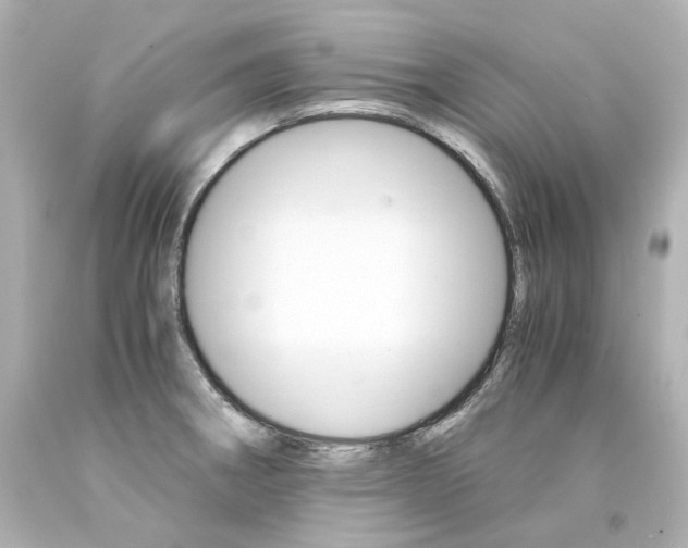 X0000094361282200711021327