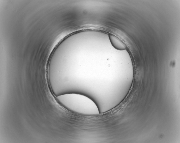 X0000094361283200711021327