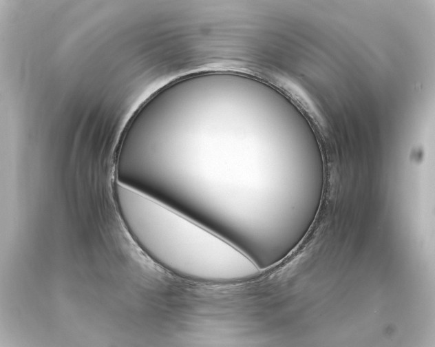 X0000094361284200711021327