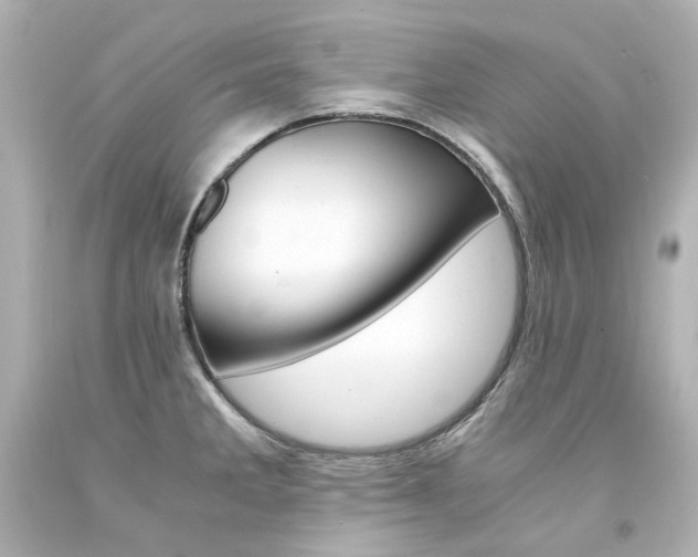 X0000094361285200711021327