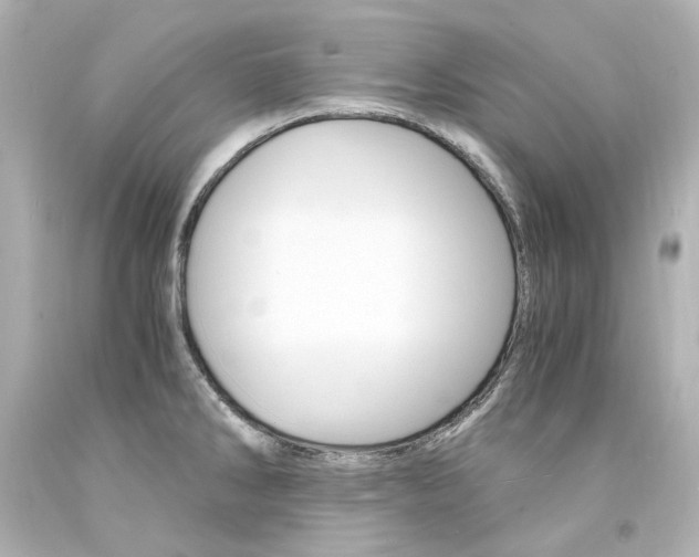 X0000094361286200711021327