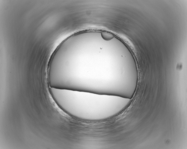 X0000094361287200711021327