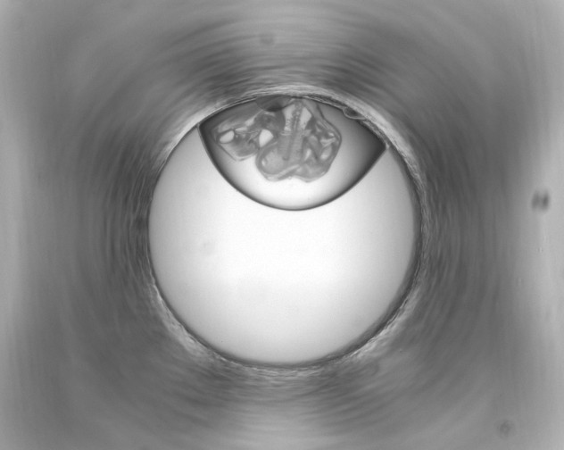 X0000094361289200711021327