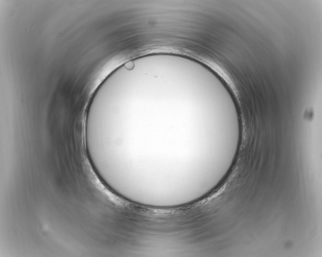 X0000094361290200711021327