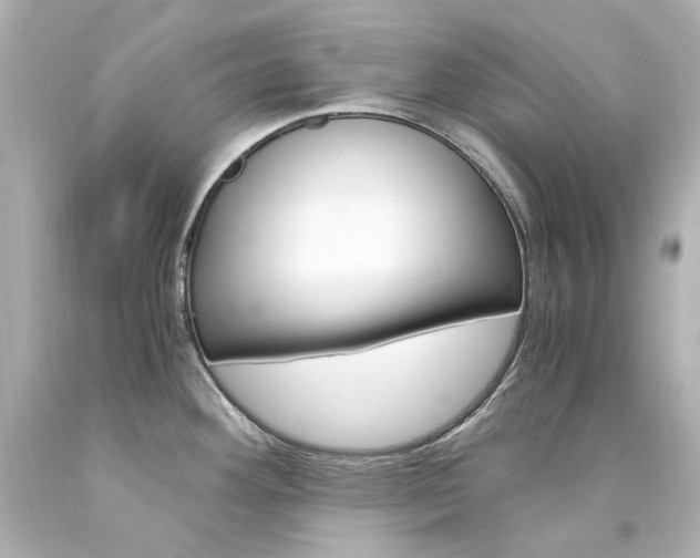 X0000094361292200711021327