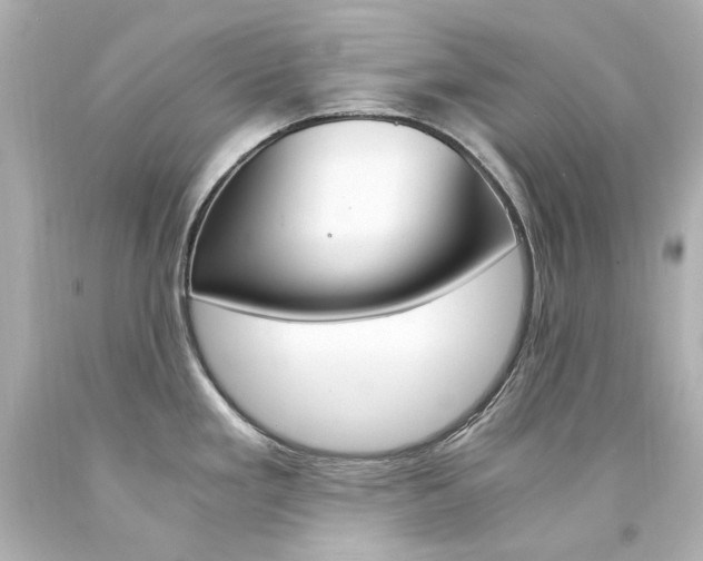 X0000094361293200711021327
