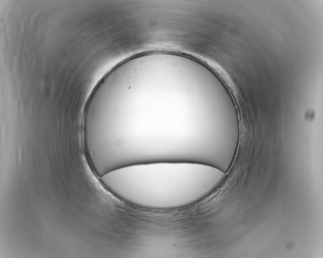 X0000094361295200711021327