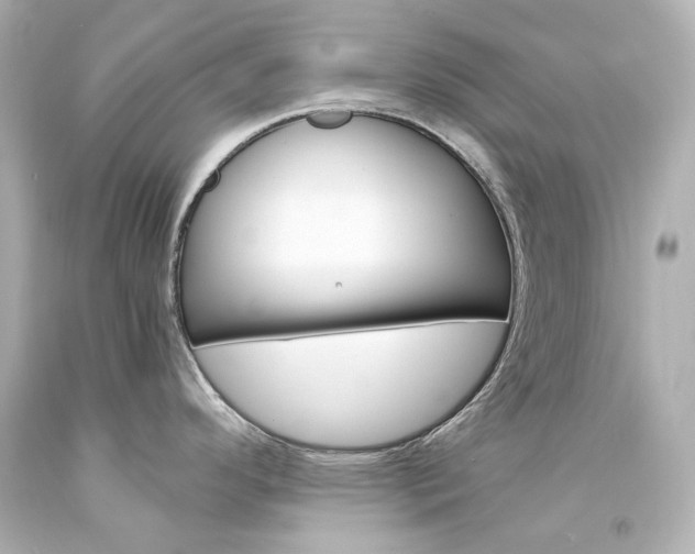 X0000094361296200711021327