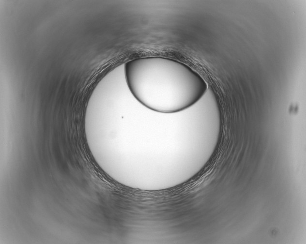 X0000094361300200711021326