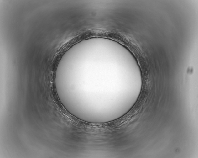 X0000094361301200711021326