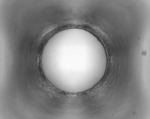 X0000094361302200711021326