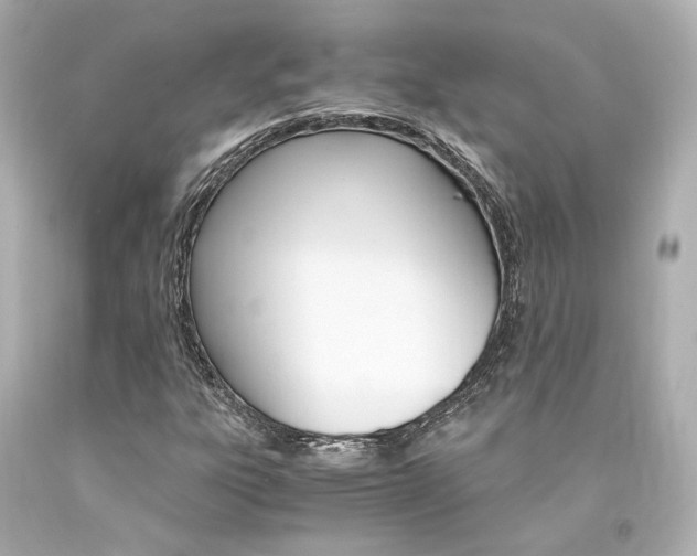 X0000094361303200711021326