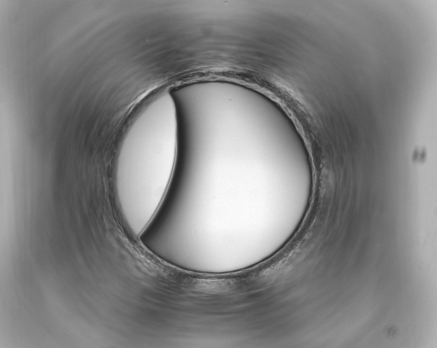 X0000094361305200711021326