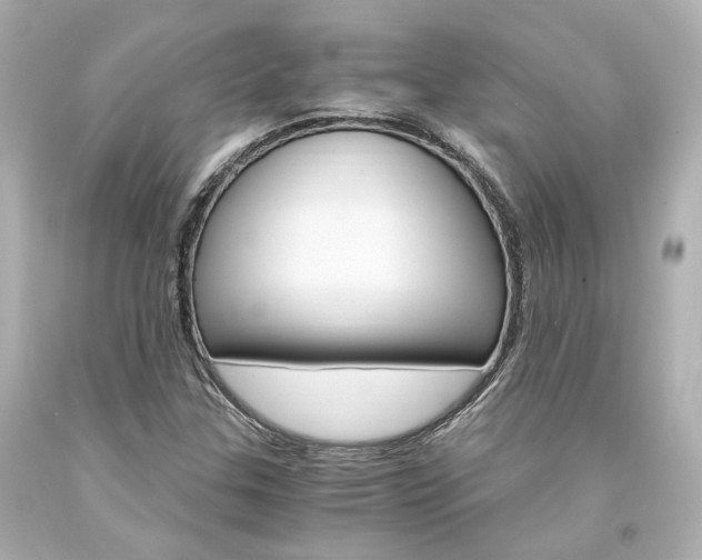 X0000094361307200711021327