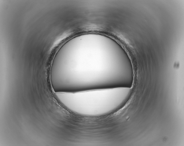 X0000094361309200711021327