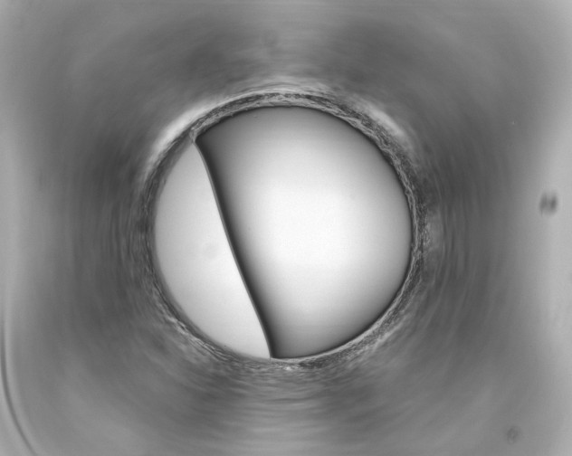 X0000094361310200711021327