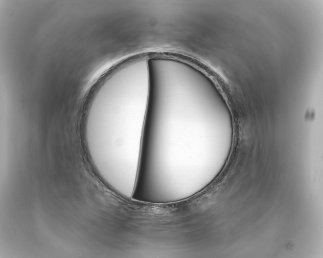 X0000094361311200711021327