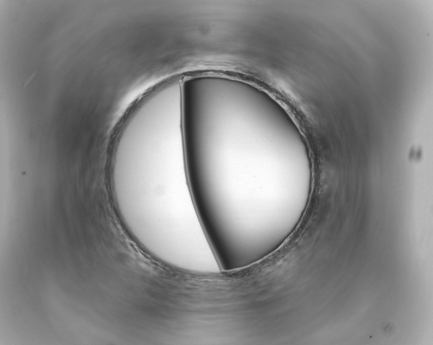 X0000094361312200711021327