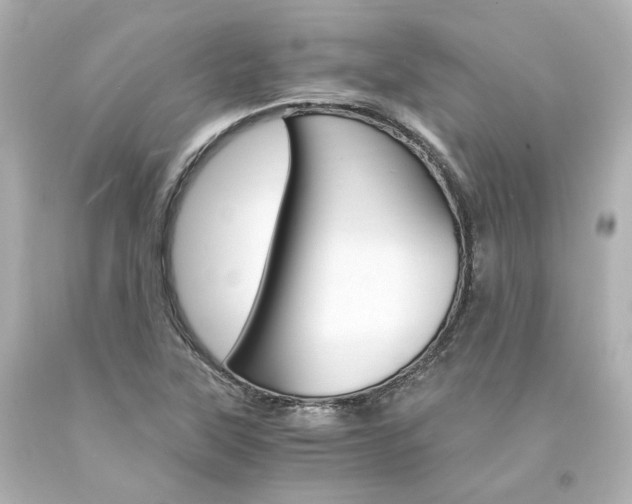 X0000094361315200711021327