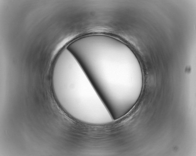 X0000094361317200711021327