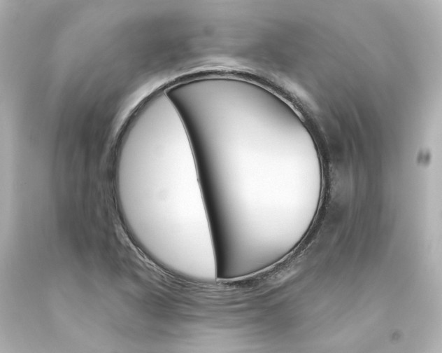 X0000094361318200711021327