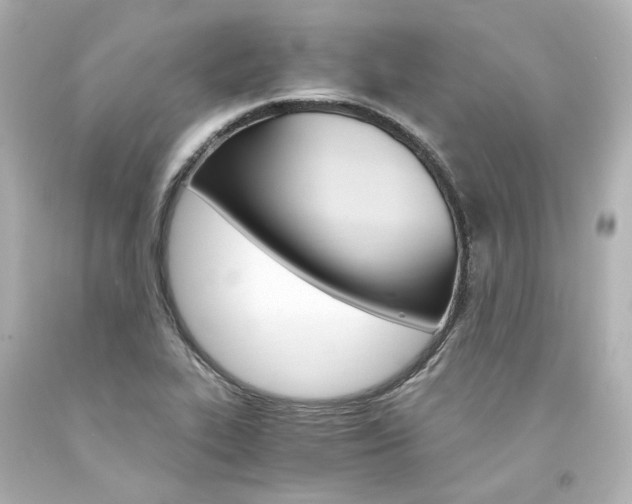 X0000094361319200711021327