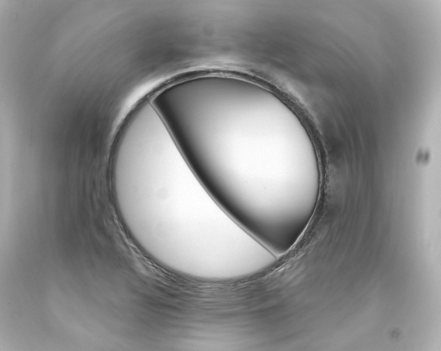 X0000094361320200711021327