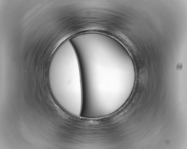 X0000094361321200711021327