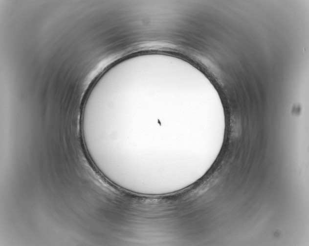 X0000094361322200711021327