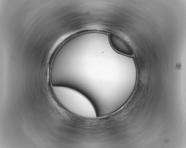 X0000094361323200711021327