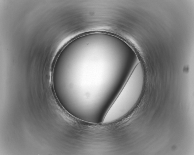 X0000094361324200711021327