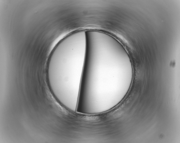 X0000094361325200711021327