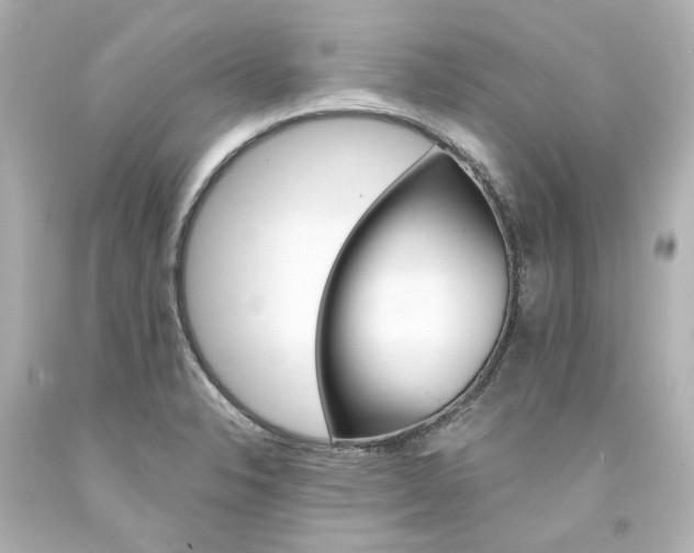 X0000094361326200711021327