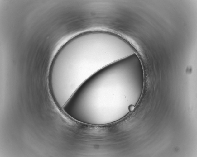 X0000094361327200711021327